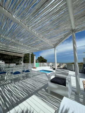 The Starfish View
